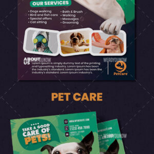 Pet Care Flyer